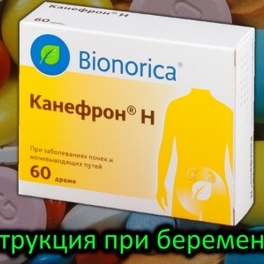 endometr